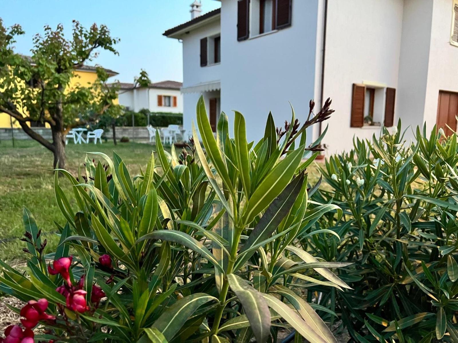 Private Apartment With Garden カンニジョネ エクステリア 写真